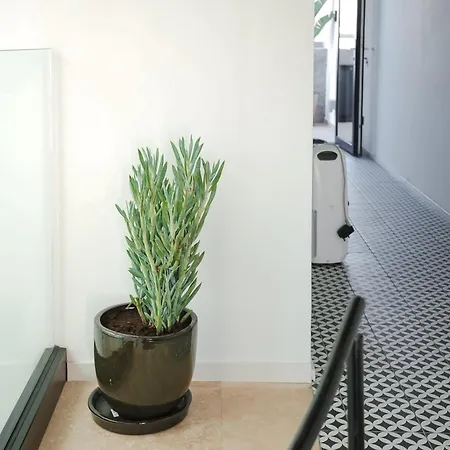 The Bear And Ween Отель Сент Джулианс