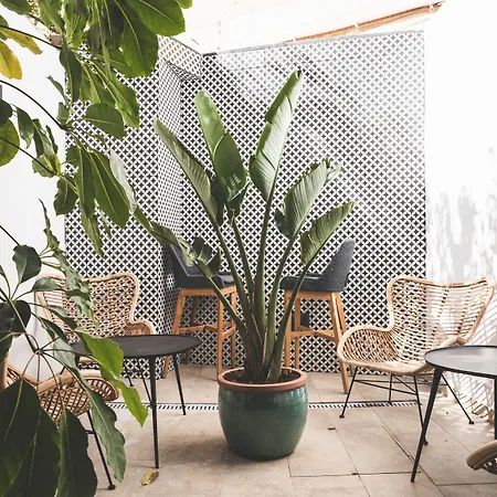 The Bear And Ween Hotel San Giuliano