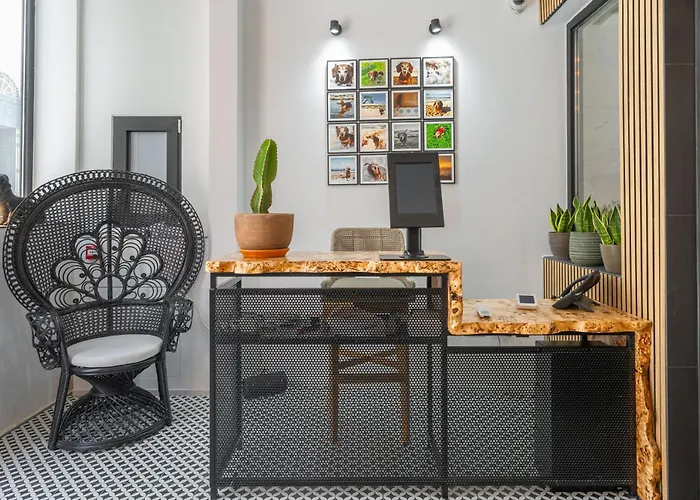 The Bear And Ween San Giuliano