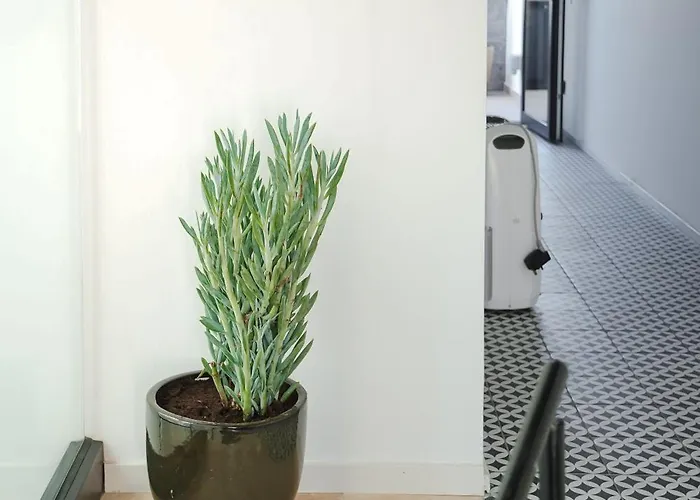 The Bear And Ween Hotel San Giuliano