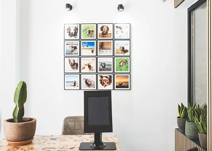 The Bear And Ween Hotel San Giuliano