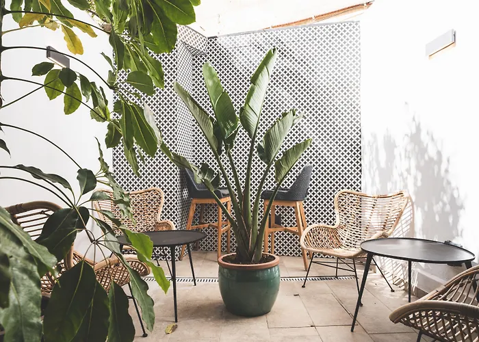 The Bear And Ween Hotel San Giuliano